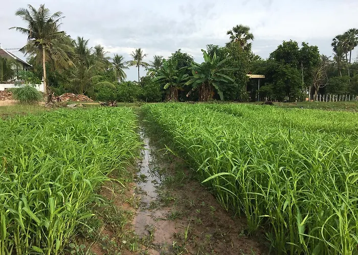 Kwatera prywatna Life Siem Reap
