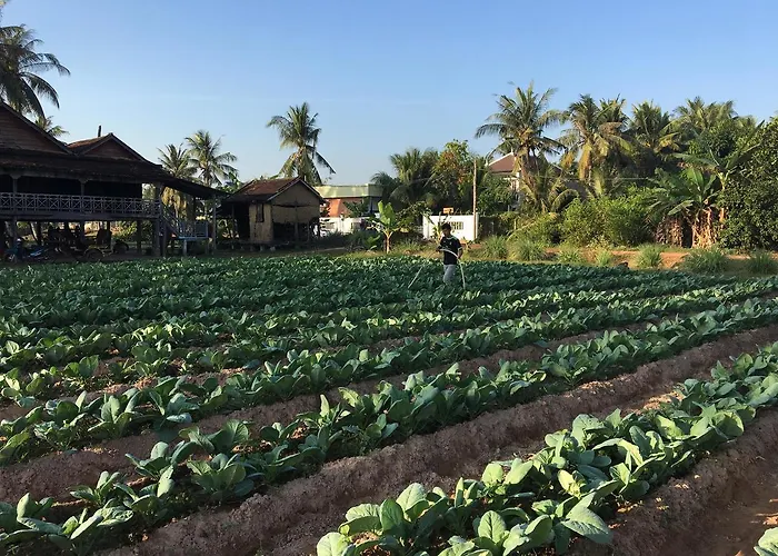 Life * Siem Reap